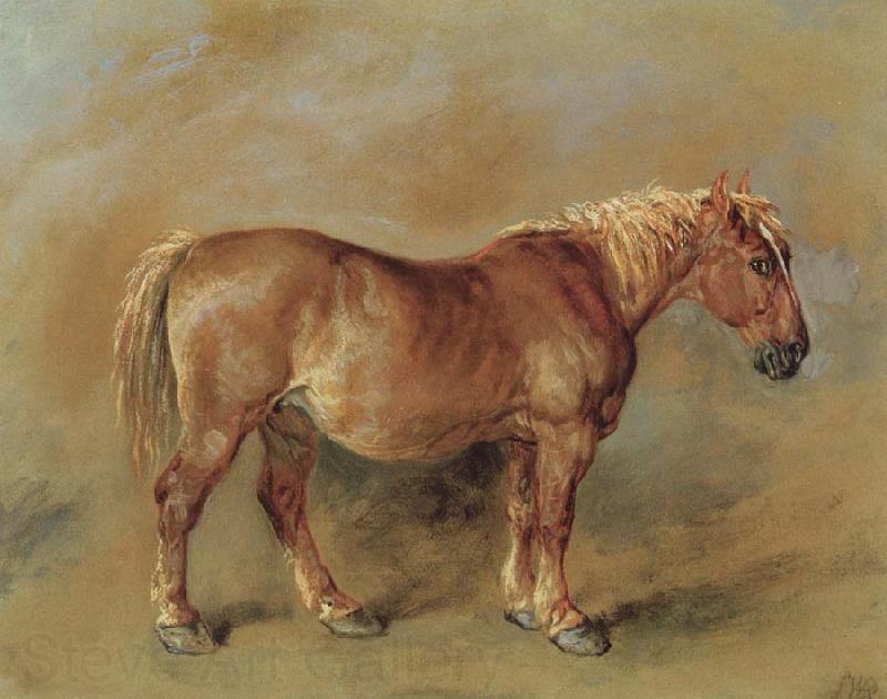 James Ward A Suffolk Punch Norge oil painting art